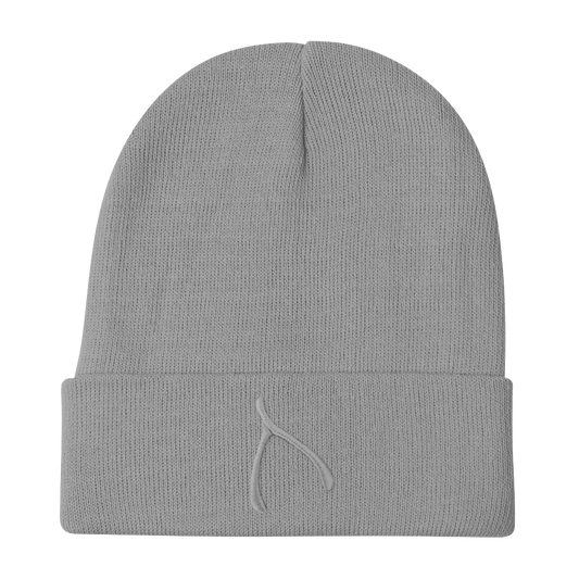 Otto Knit Beanie - Gray