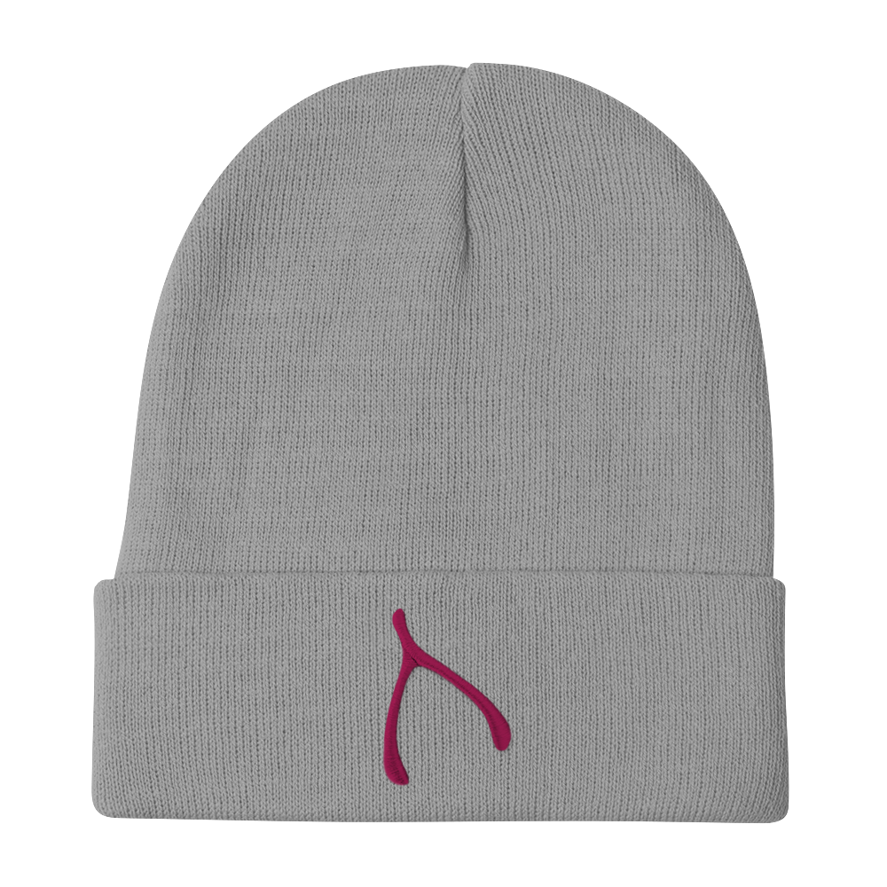 Otto Knit Beanie - Gray