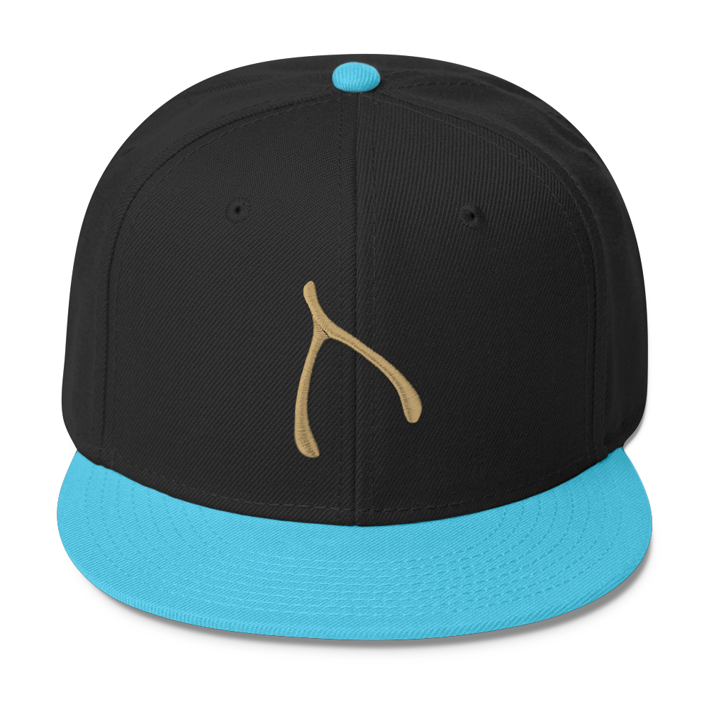 Otto Snap Back - Aqua / Black