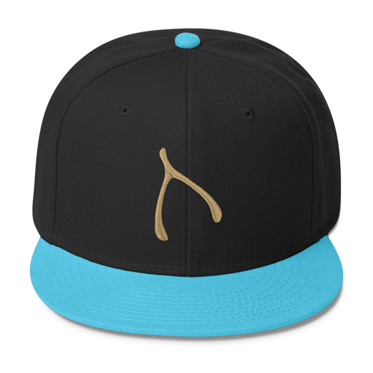 Otto Snap Back - Aqua / Black