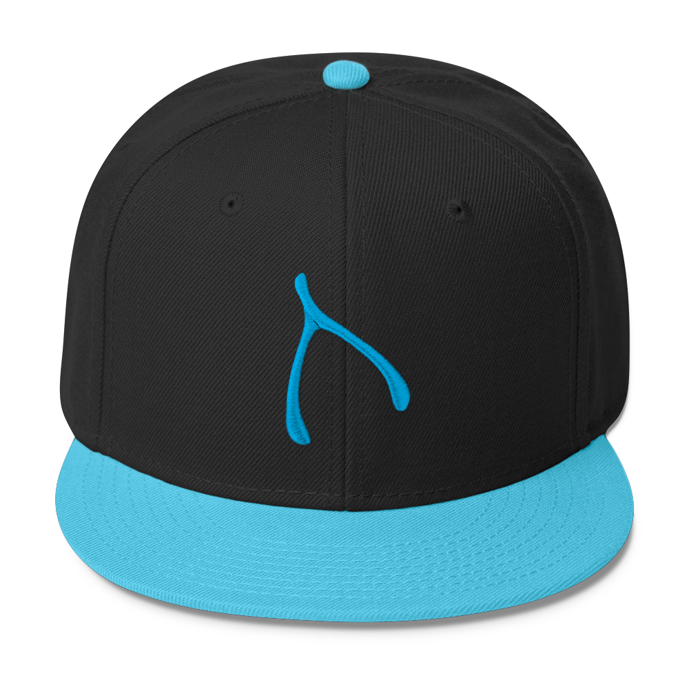 Otto Snap Back - Aqua / Black