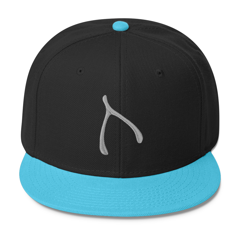 Otto Snap Back - Aqua / Black