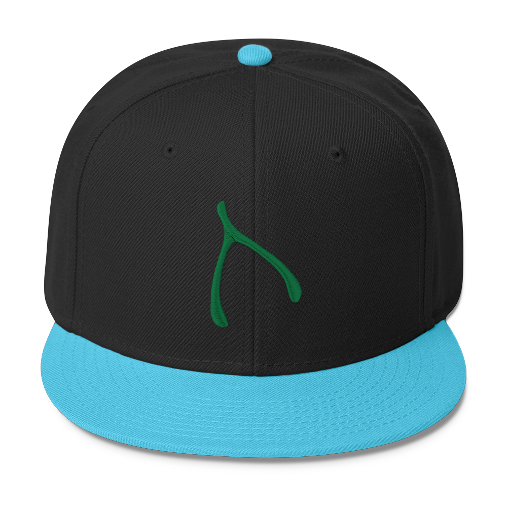 Otto Snap Back - Aqua / Black