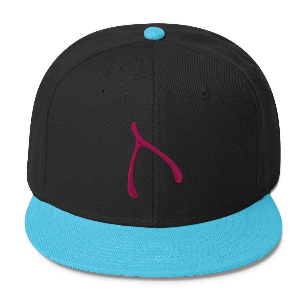Otto Snap Back - Aqua / Black