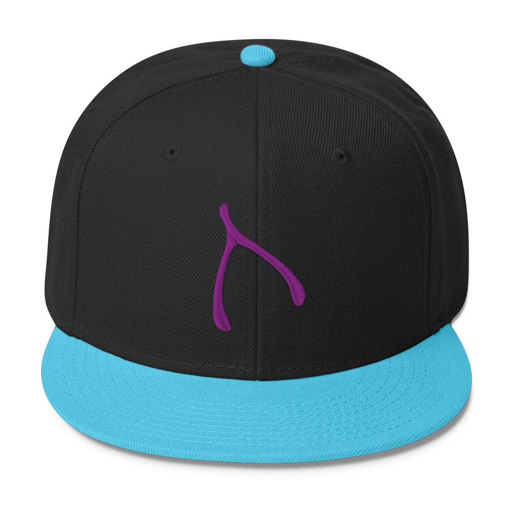 Otto Snap Back - Aqua / Black