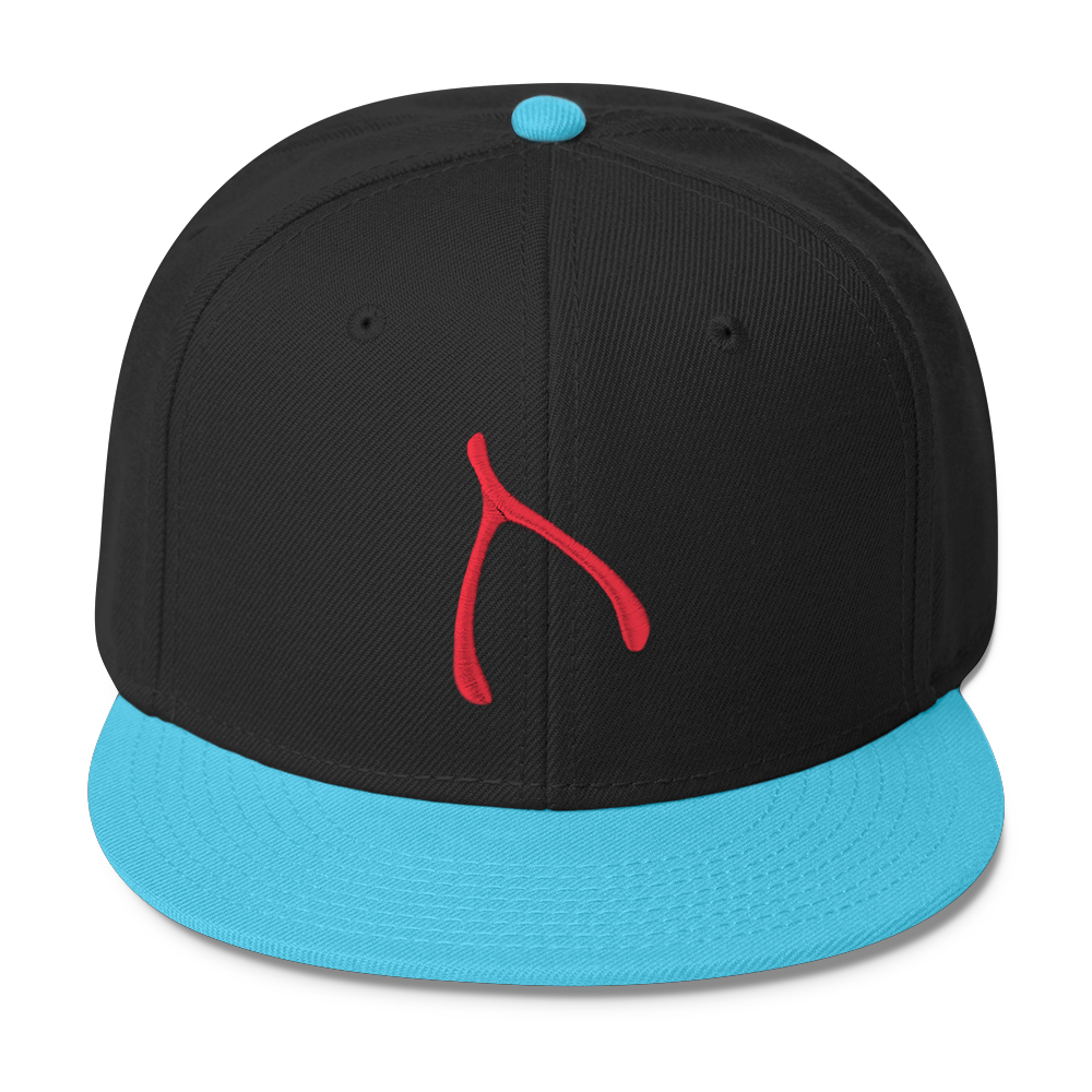 Otto Snap Back - Aqua / Black