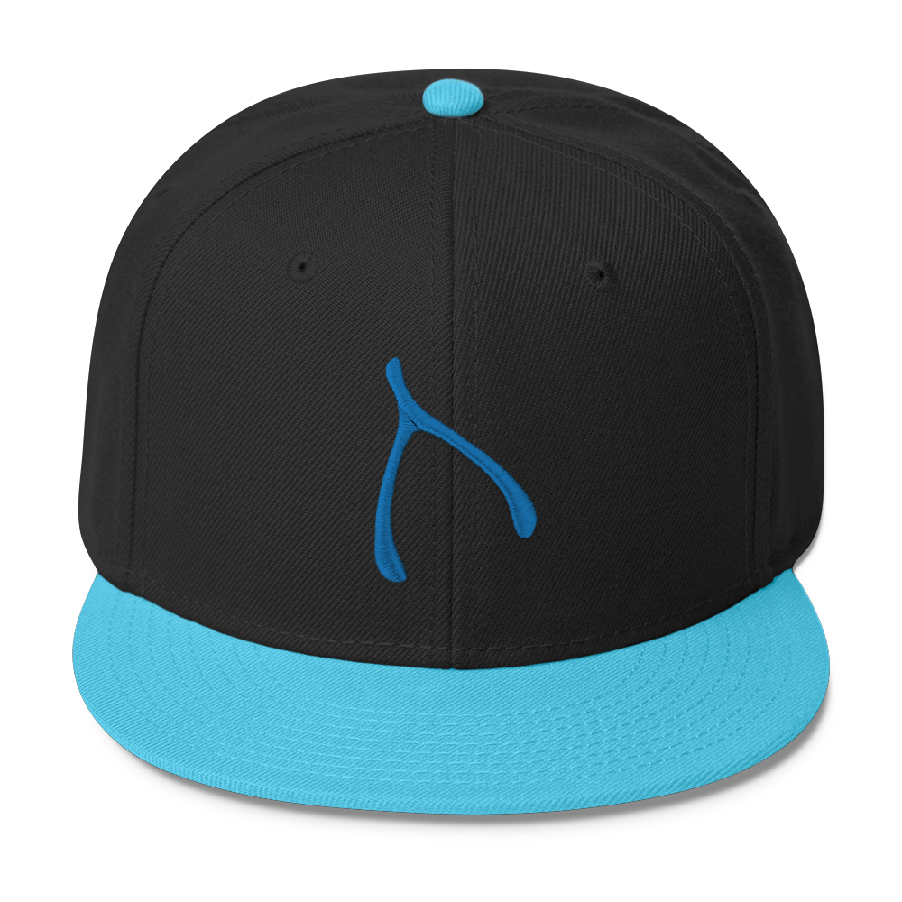 Otto Snap Back - Aqua / Black