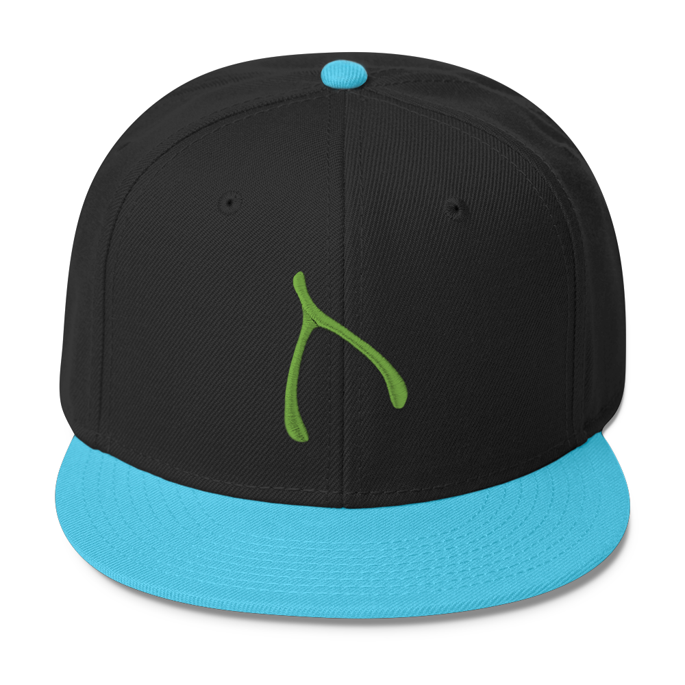 Otto Snap Back - Aqua / Black