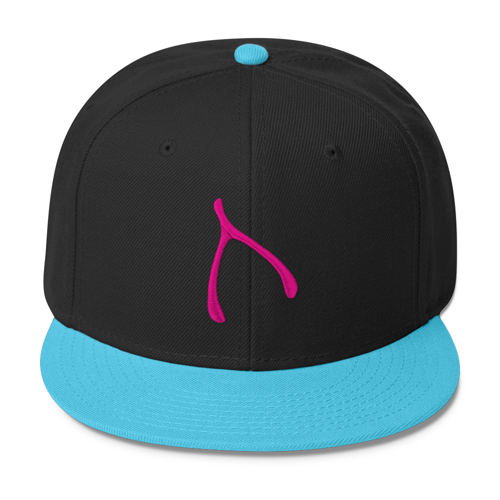 Otto Snap Back - Aqua / Black
