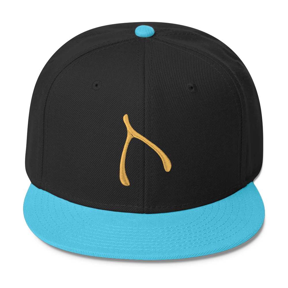 Otto Snap Back - Aqua / Black