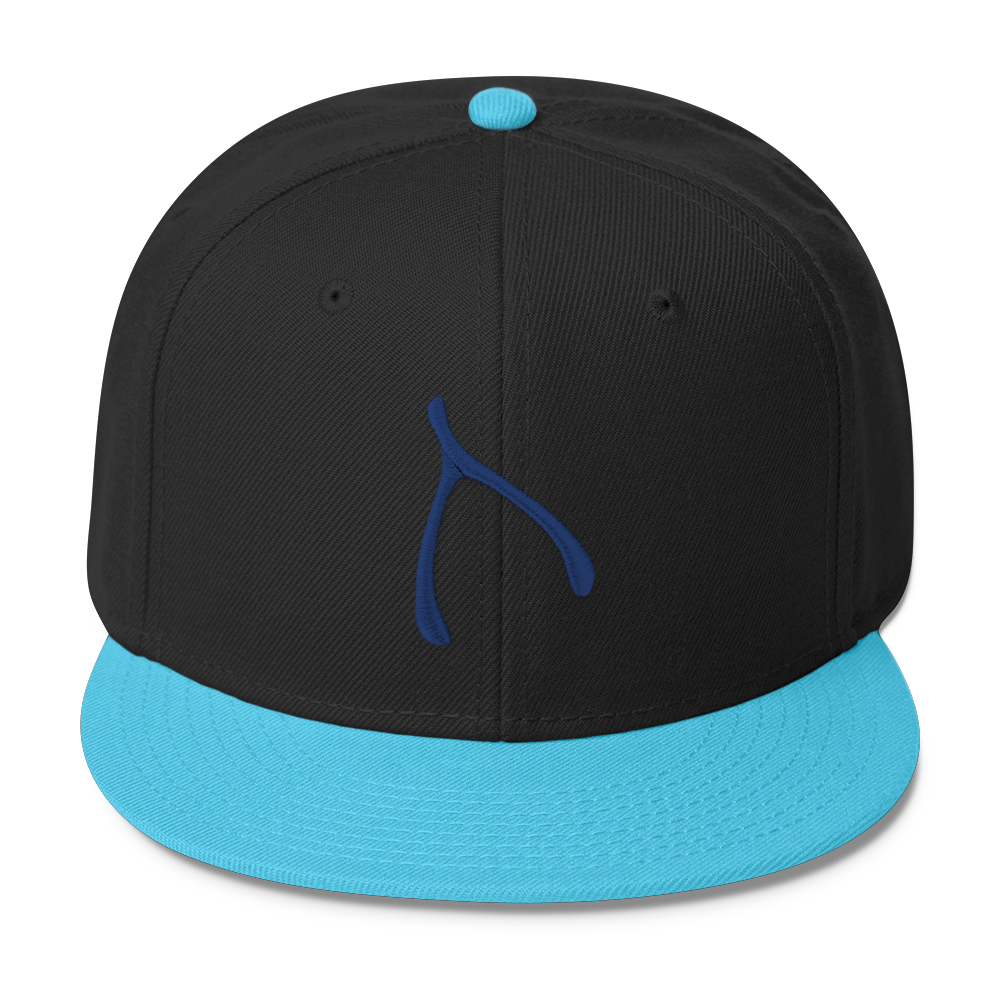 Otto Snap Back - Aqua / Black