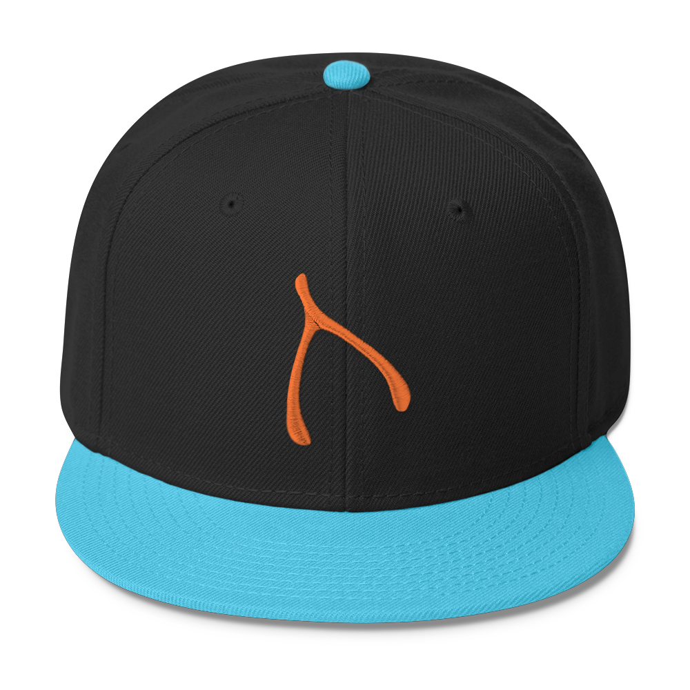 Otto Snap Back - Aqua / Black