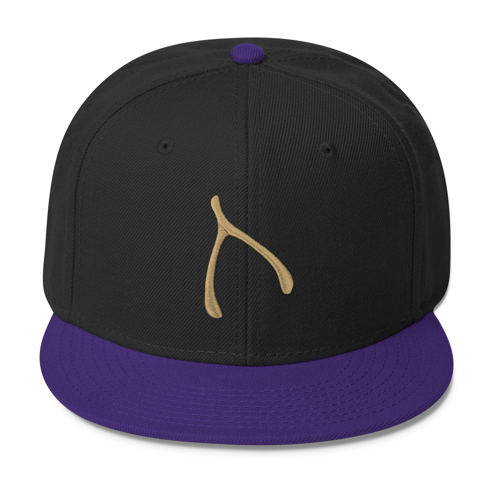 Otto Snap Back - Purple / Black