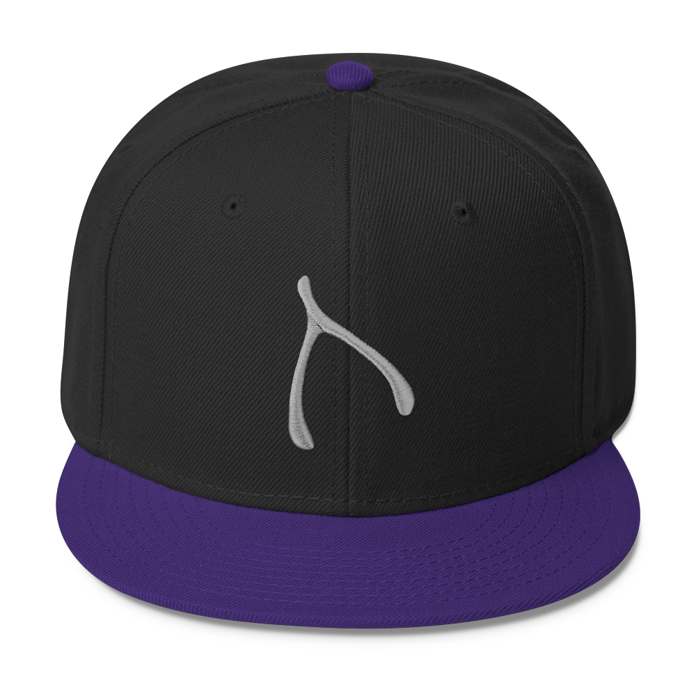 Otto Snap Back - Purple / Black