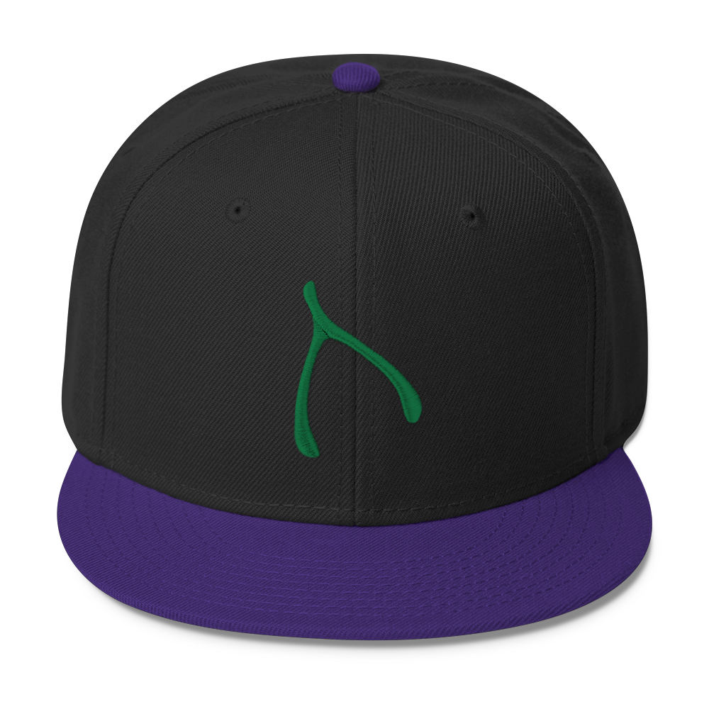 Otto Snap Back - Purple / Black