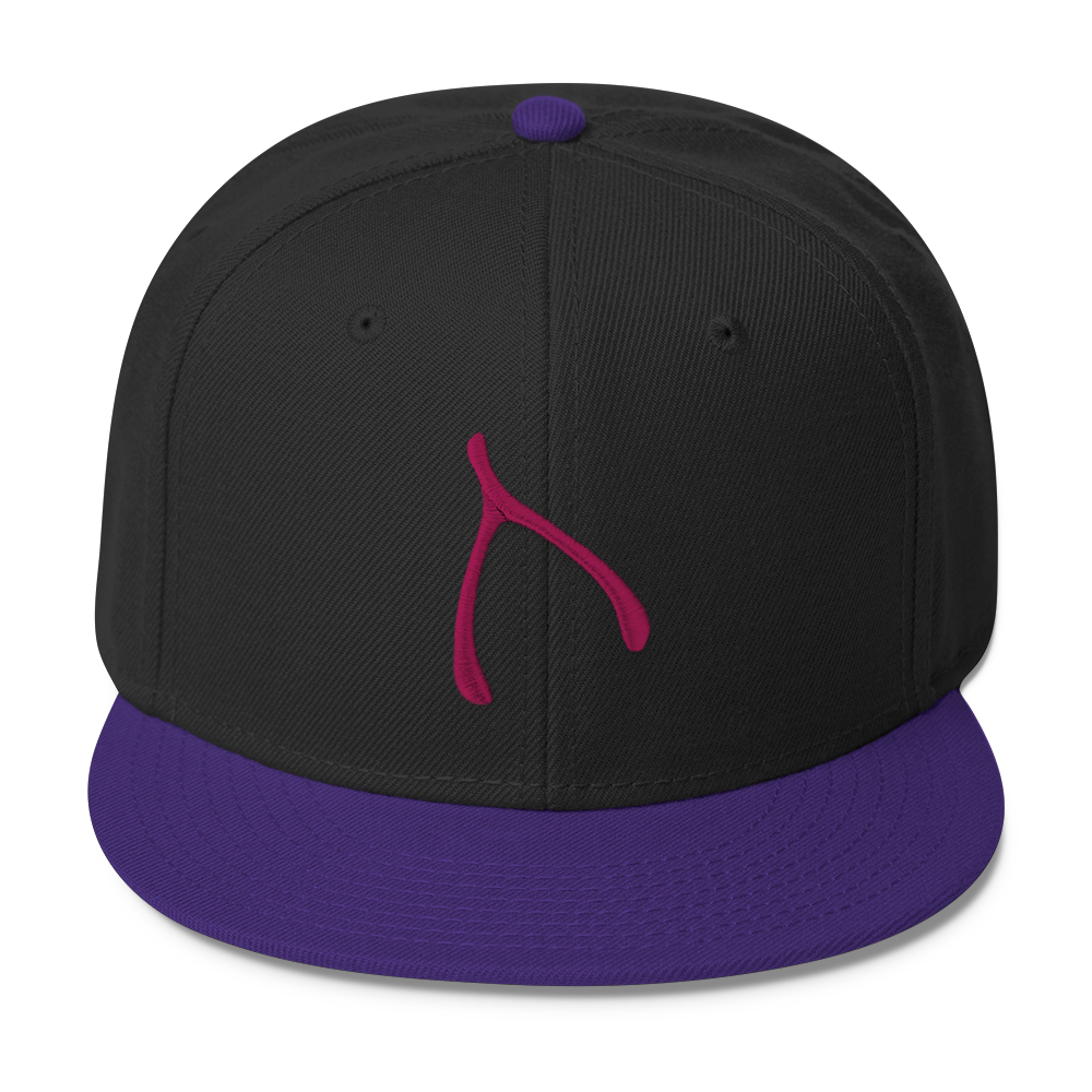 Otto Snap Back - Purple / Black