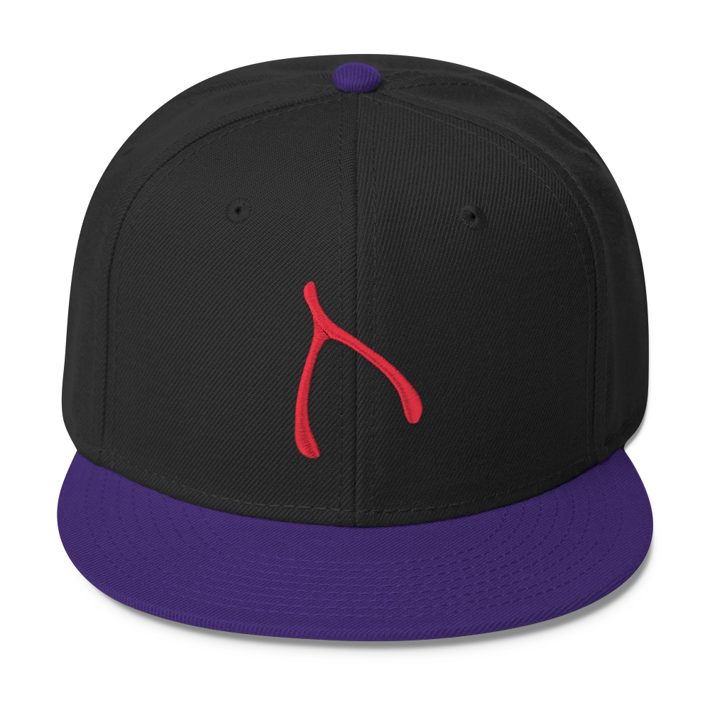 Otto Snap Back - Purple / Black