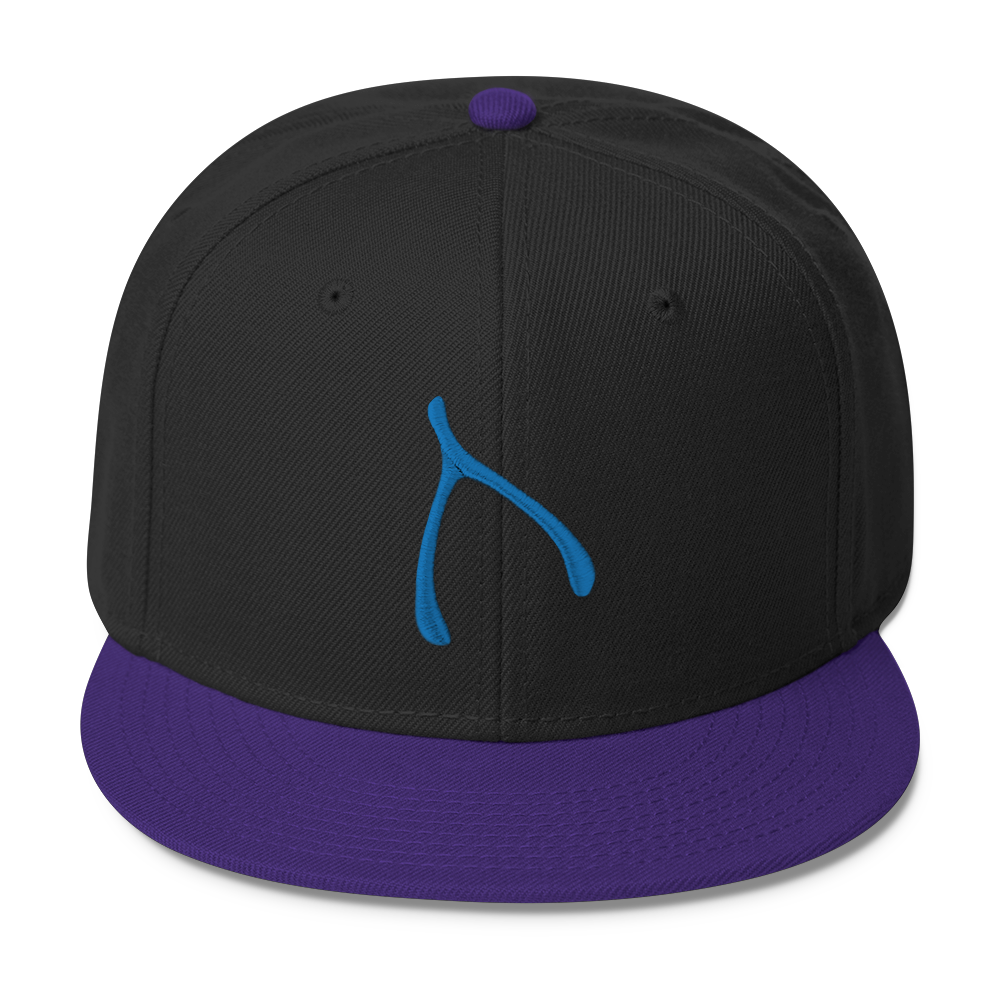 Otto Snap Back - Purple / Black